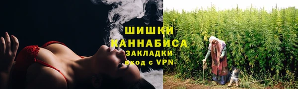 индика Богородицк
