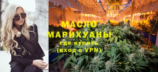 индика Богородицк