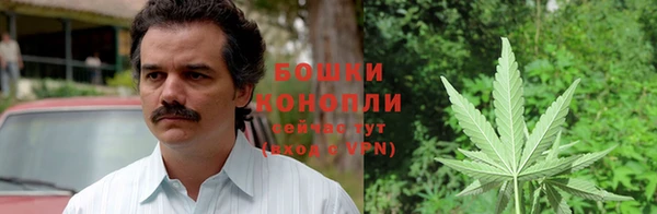 мескалин Богданович
