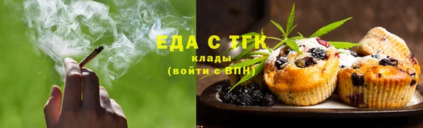 индика Богородицк