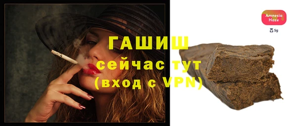 индика Богородицк