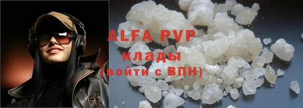 индика Богородицк