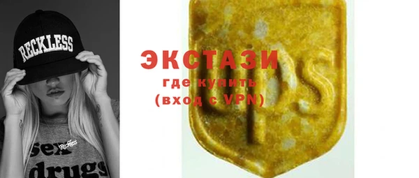 индика Богородицк