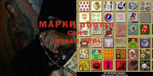 индика Богородицк