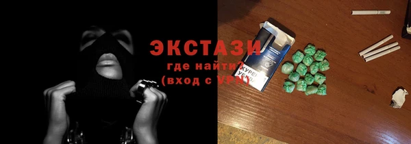 индика Богородицк