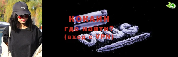 индика Богородицк