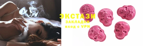 индика Богородицк