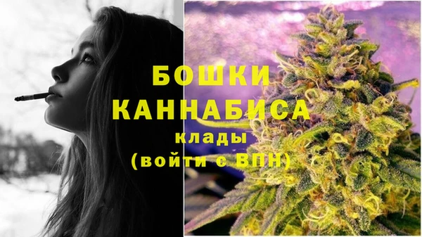 мескалин Богданович