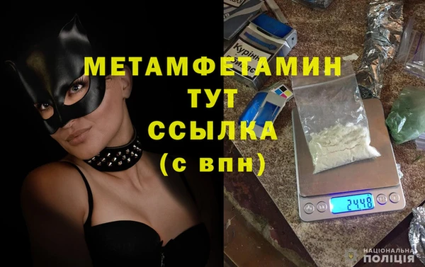 индика Богородицк