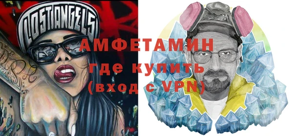 индика Богородицк