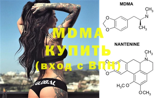 индика Богородицк