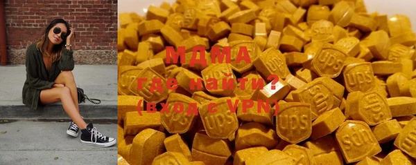 индика Богородицк
