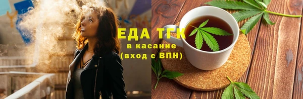 индика Богородицк