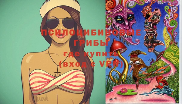мескалин Богданович