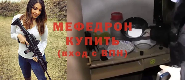 индика Богородицк