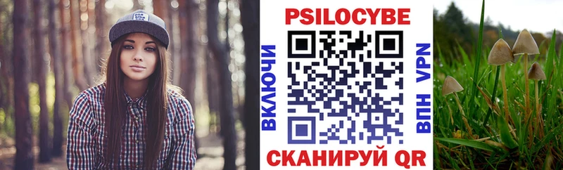 Галлюциногенные грибы мицелий Долгопрудный