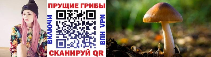 Псилоцибиновые грибы MAGIC MUSHROOMS  Долгопрудный 